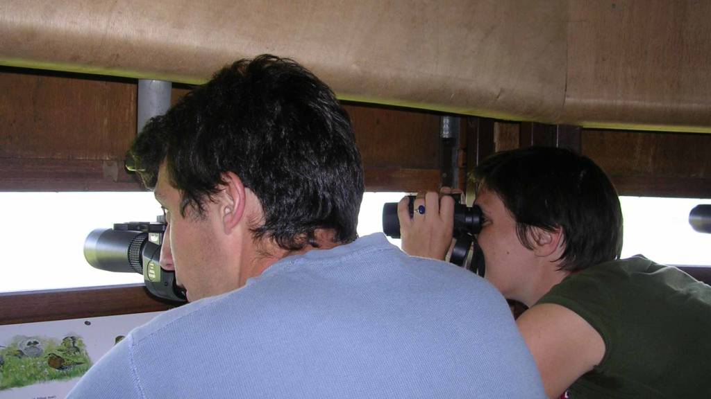 Touristes observant les oiseaux dans un observatoire - marais poitevin