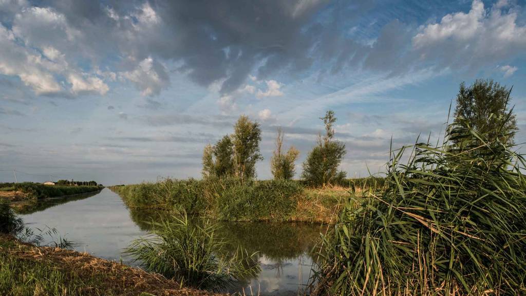 le marais desseche, paysage marais poitevin