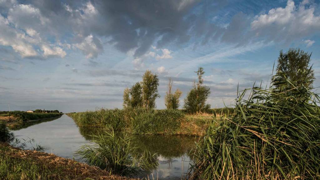 Marais desséché, l'un des paysages du Marais poitevin