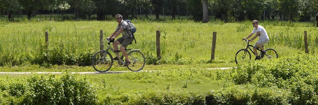 Le site ignrando.fr, idéal pour se balader à vélo dans le Marais poitevin