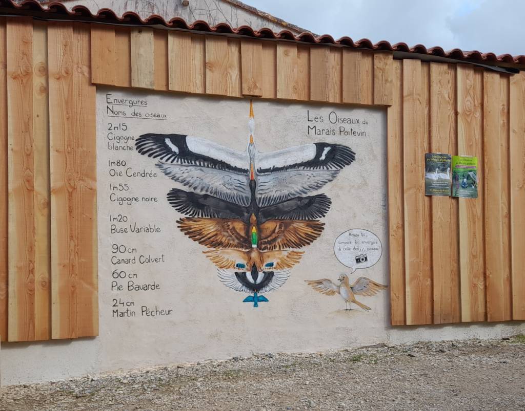 Une toise présentant l'amplitude des oiseaux du parc ornithologique du Marais poitevin. Une toise présentant l'amplitude des oiseaux du parc ornithologique du Marais poitevin.