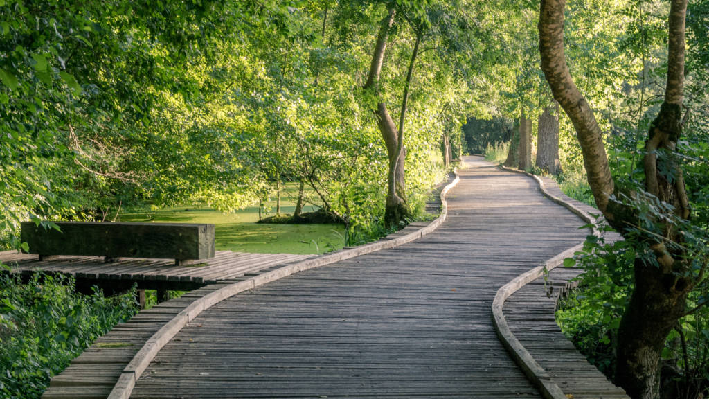 Wooden planking in the wet marshes - cycle path 