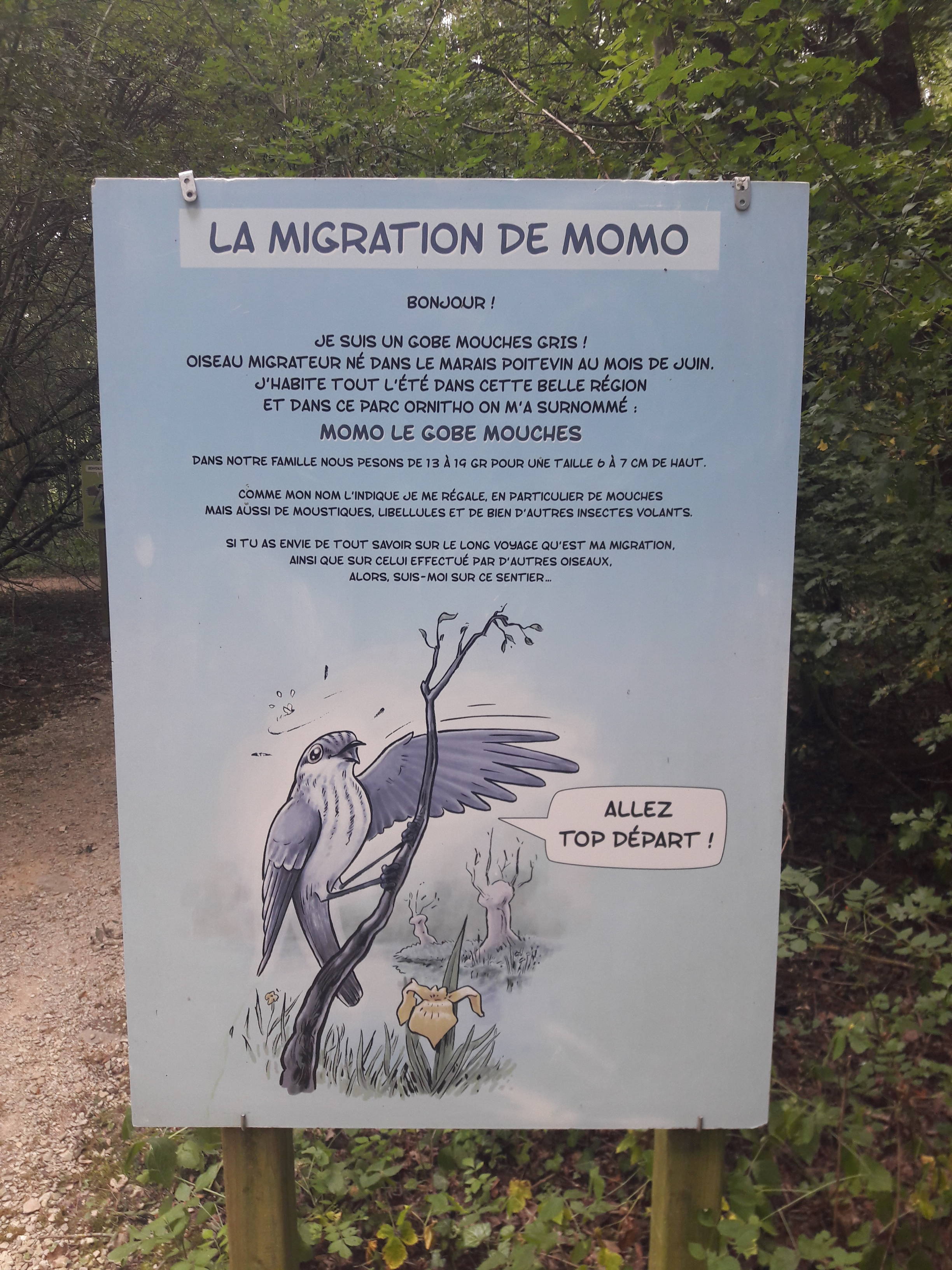 jeu de pistes pour les enfants au parc ornithologique les oiseaux du marais poitevin à saint hilaire la palud dans le parc naturel régional du marais poitevin