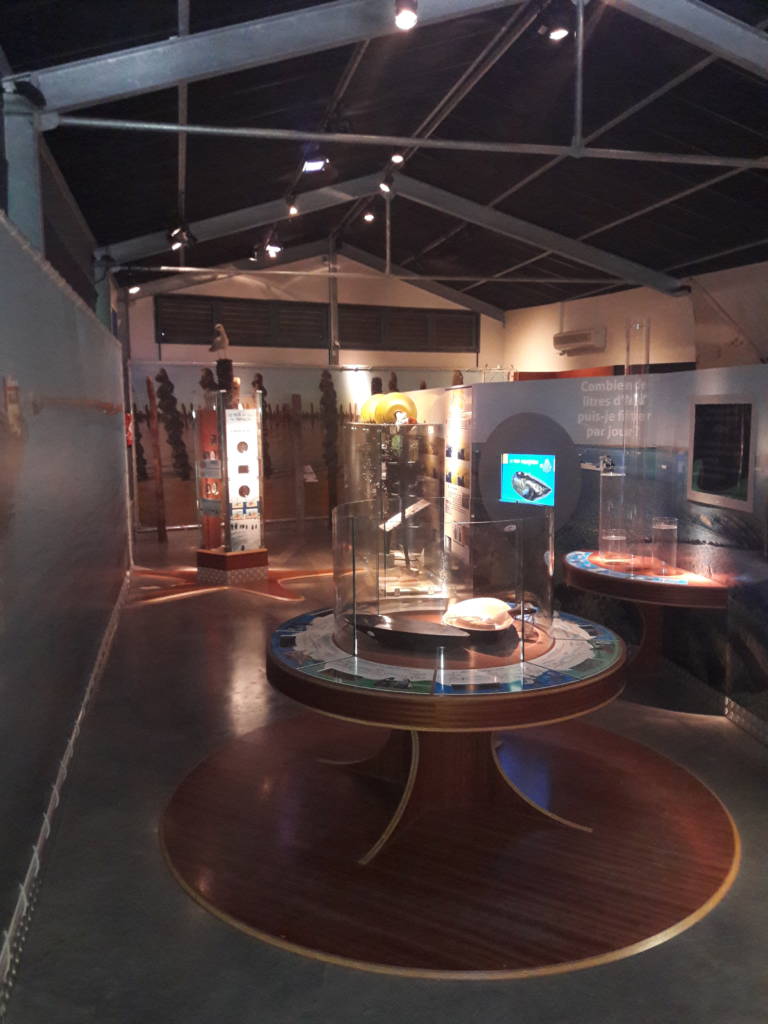 Maison de la baie du marais pitevin à esnandes dans le parc naturel régional du marais poitevin