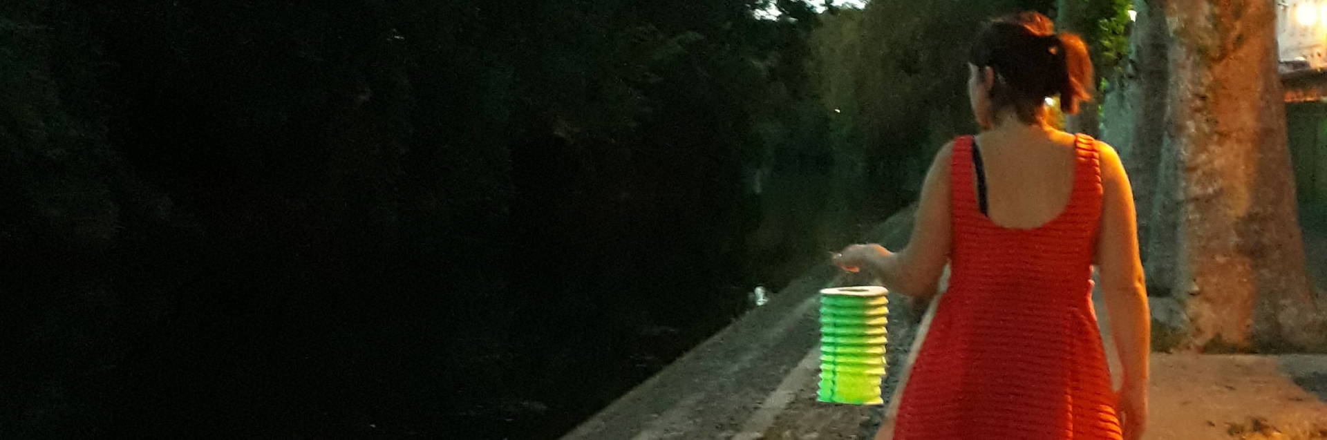 Strolling in Niort in the light of lanterns