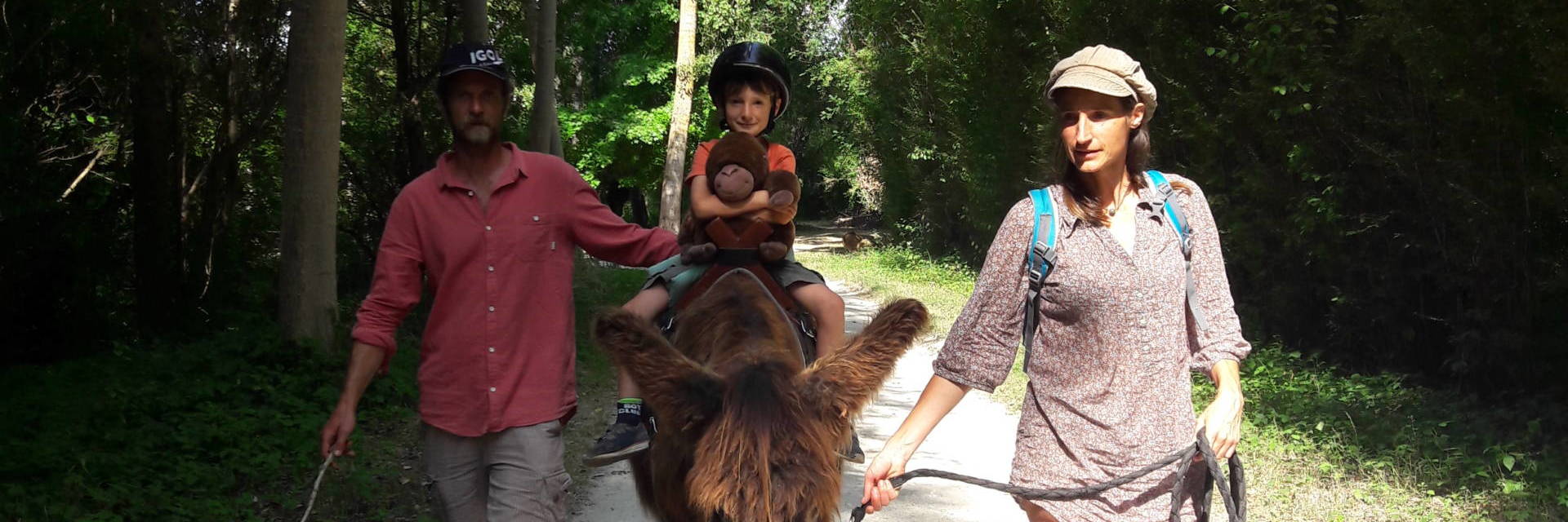 Exploring the Marais poitevin with children