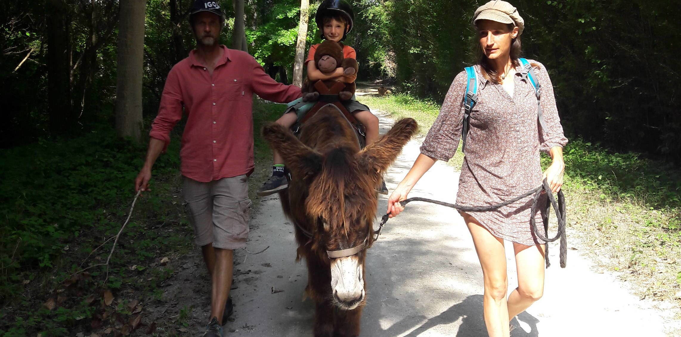 A donkey ride in the Marais poitevin