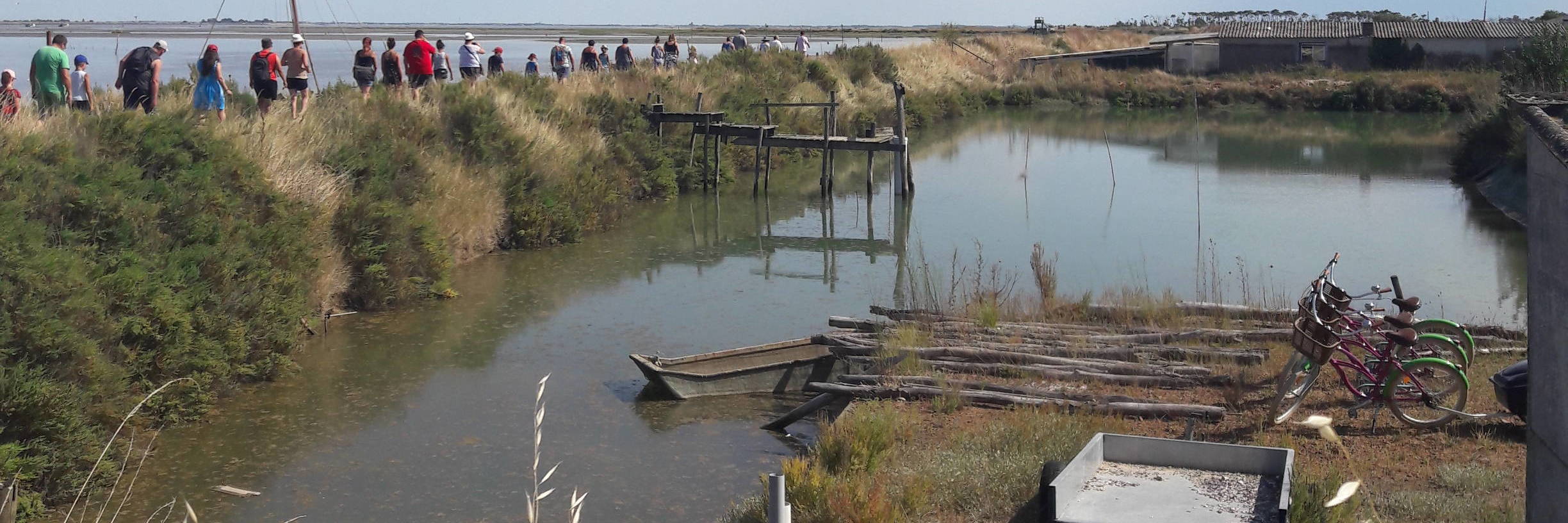 Les Viviers d’Arçay, visite d’un établissement ostreicole dans le Marais poitevin