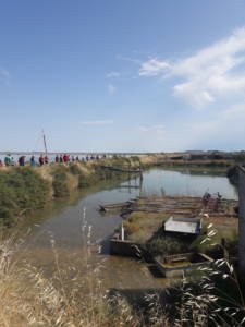 Visiting an oyster farm in the Marais poitevin