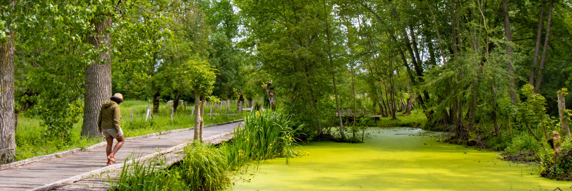 Des influenceurs ont défié leurs sens dans le Marais poitevin