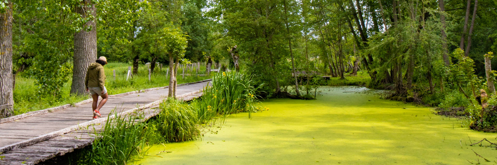 When the Marais poitevin defies the senses of influencers