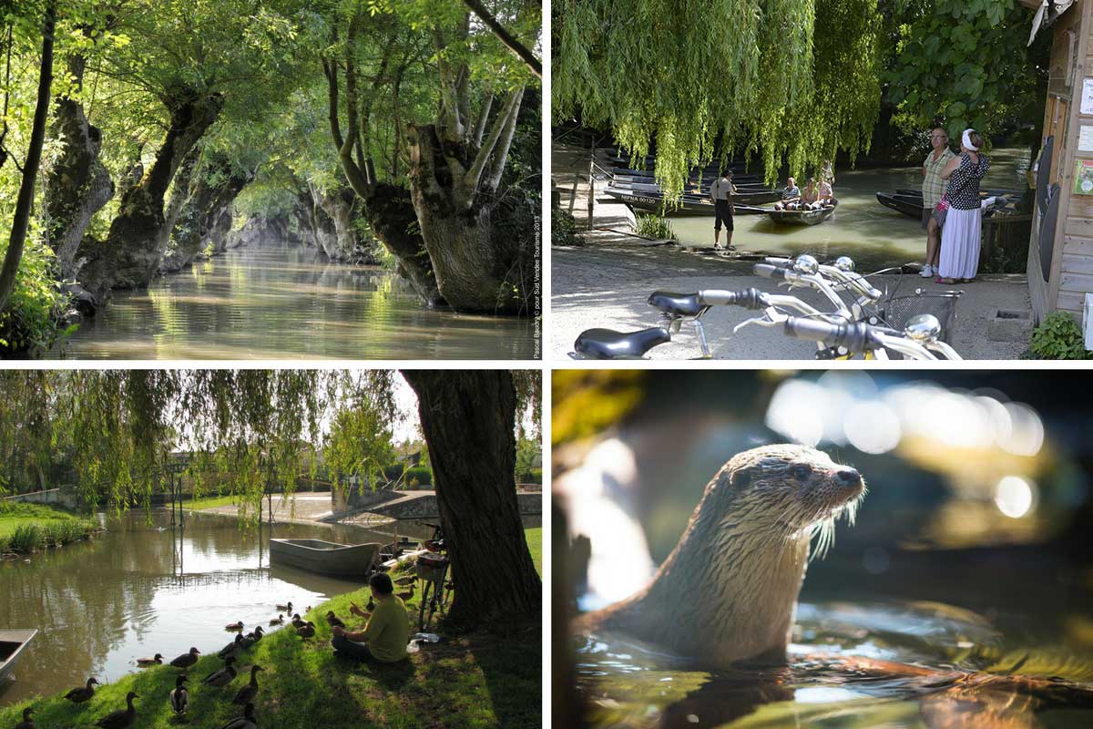 Balade en barque dans le Marais poitevin