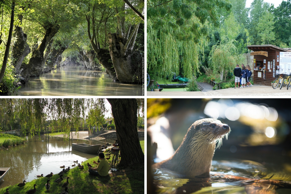 Balade en barque dans le Marais poitevin