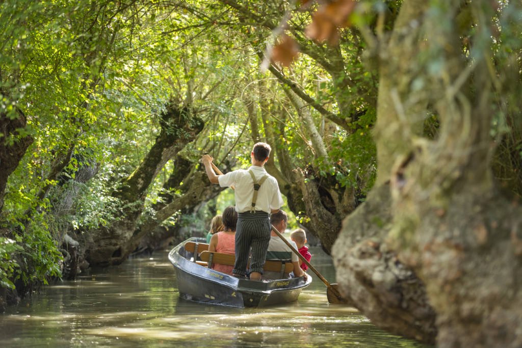 Promenade en barque dans le Marais poitevin