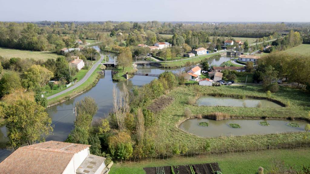 Vue aérienne paysage marais mouillé dans le Marais poitevin