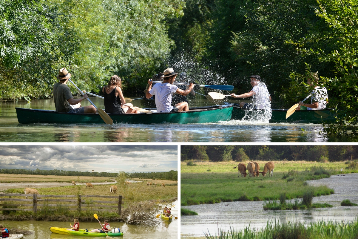 Canoe au Marais poitevin