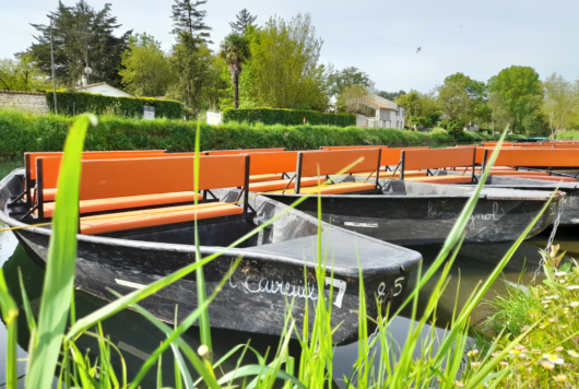 Barques sur les quais de Coulon