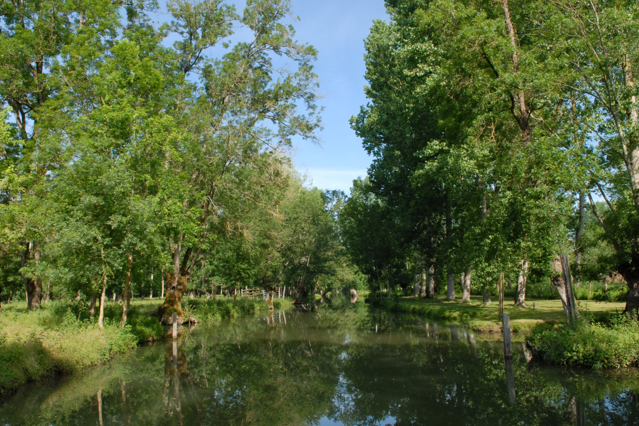 Waterway in the Marais Poitevin