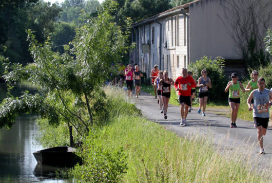 Maraisthon, des coureurs le long de la sevre niortaise