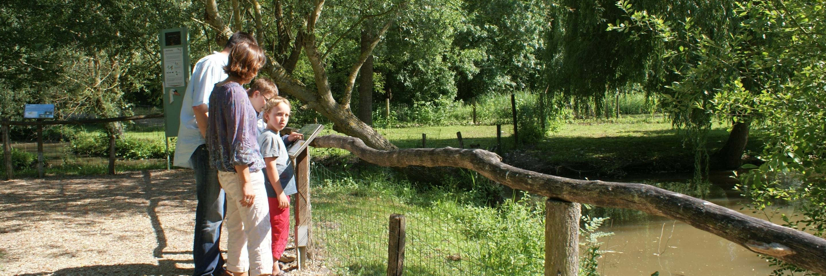 The ornithological park of the Marais poitevin