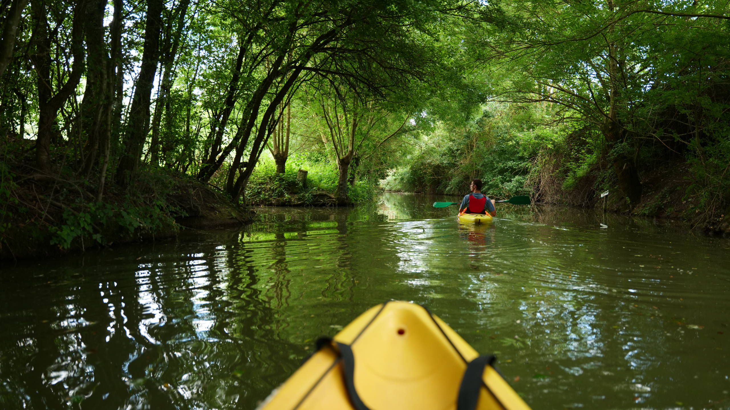 Kayak excursion in the Marais poitevin