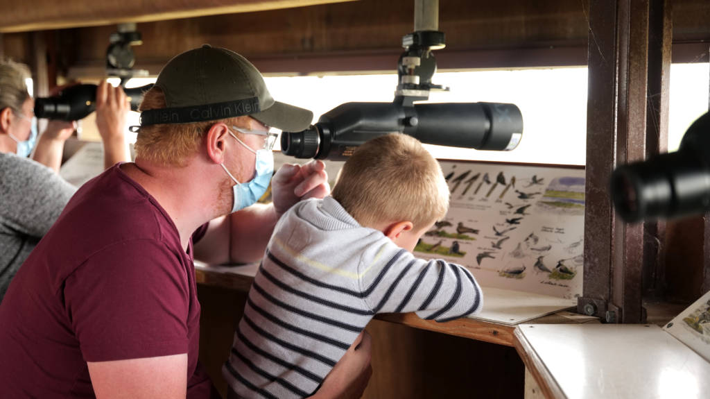 Un papa et son garçon en pleine séance d'observation des oiseaux.