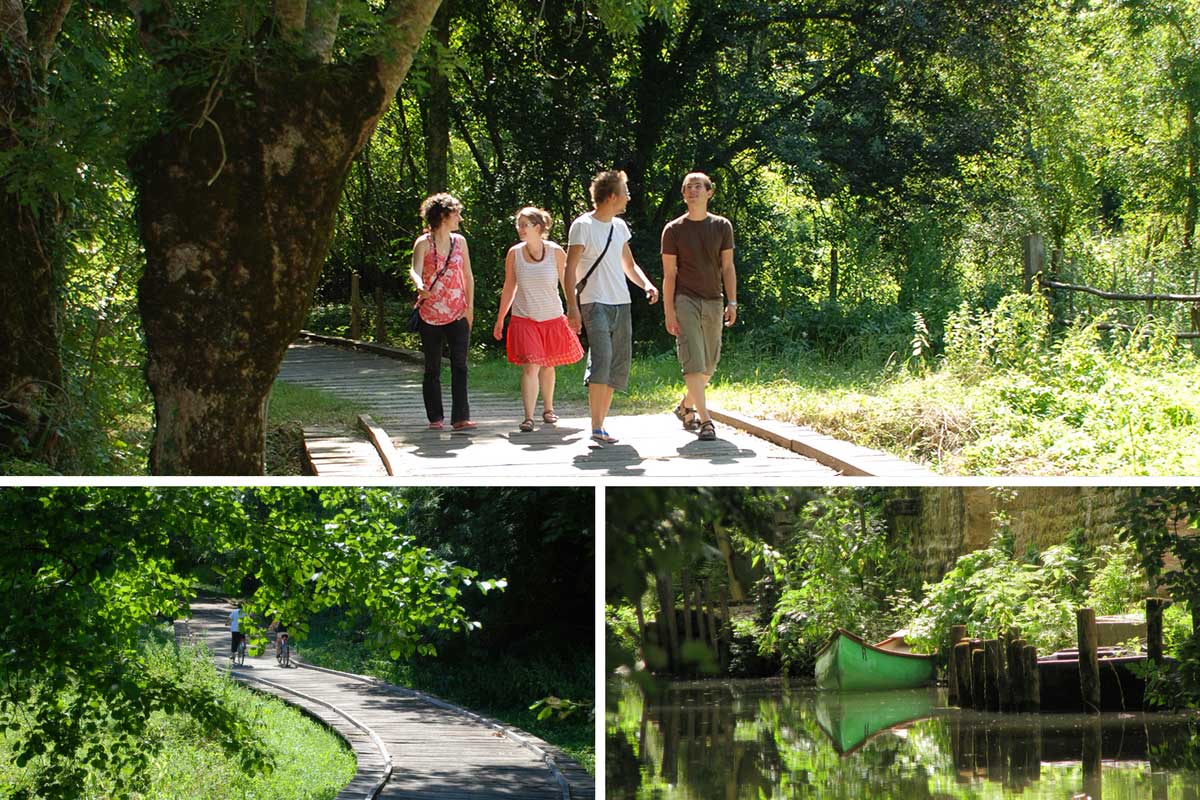 Escapade nature sans voiture dans le Marais poitevin