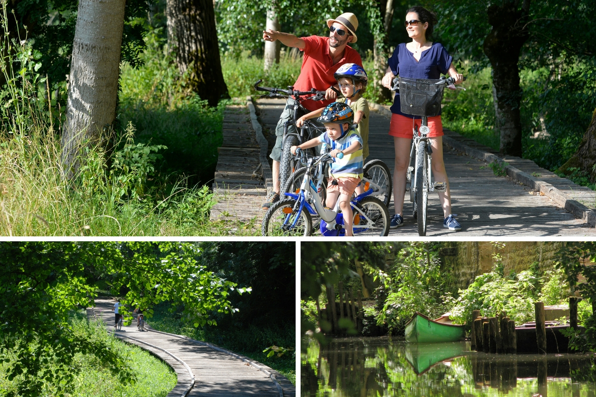 Escapade nature sans voiture dans le Marais poitevin