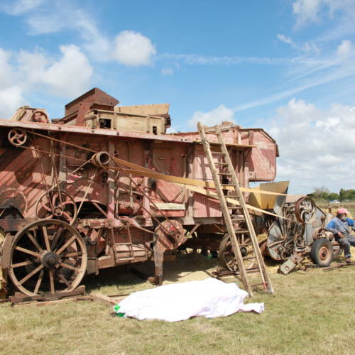 Feast of the Dung & Festi’Bouz