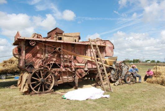 Fête de la bouse & Festi'Bouz, fête de la vie rurale à Triaize dans le Marais poitevin