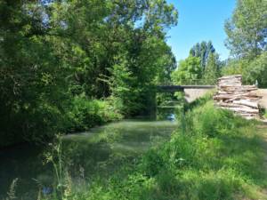 Small bridge on the path of Mats Aziré in the Marais poitevin