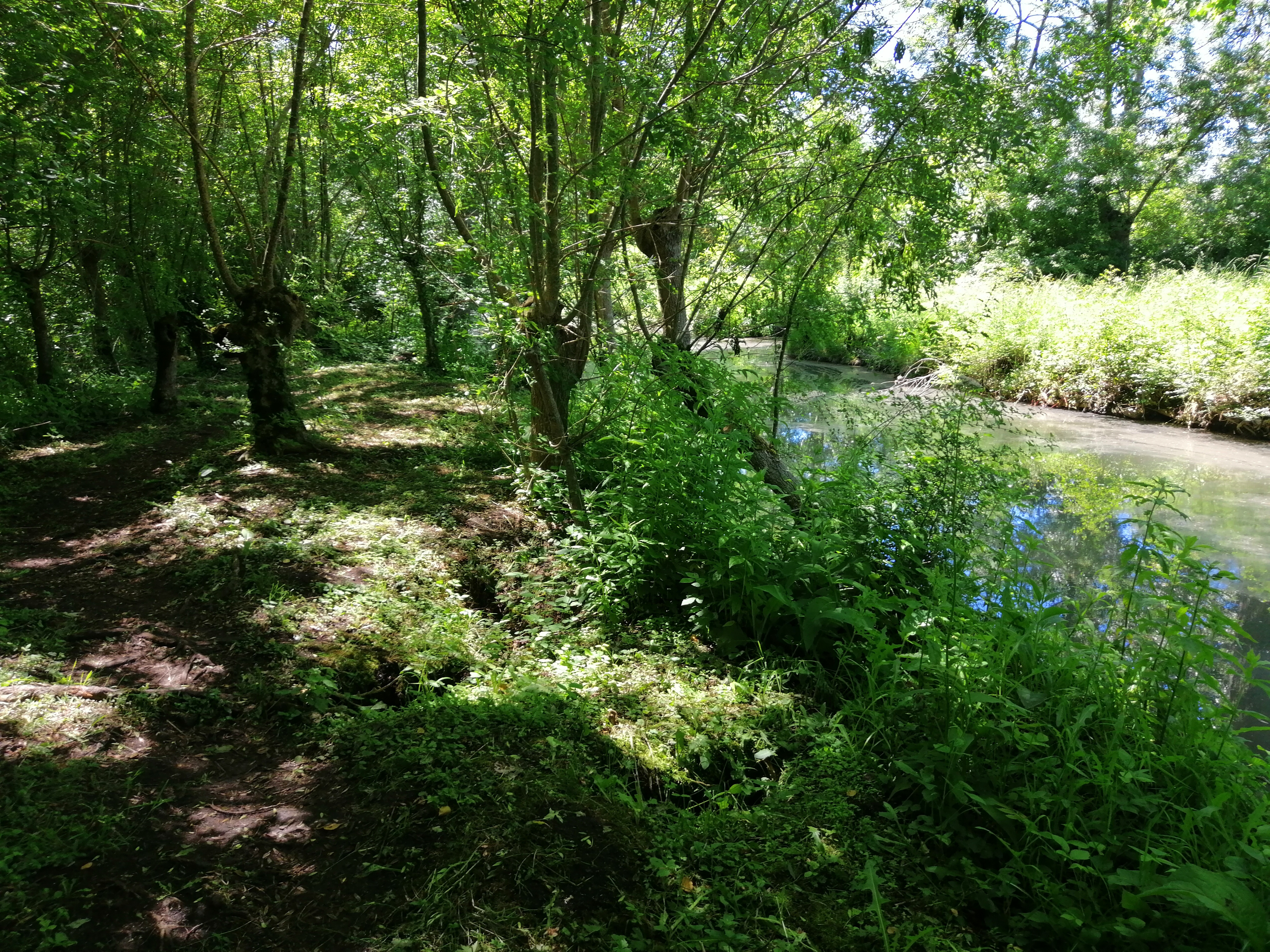 A la découverte du sentier des Nattes