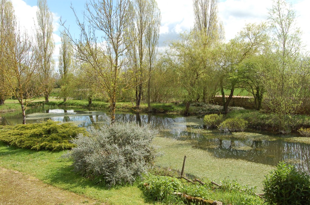 La Mare naturelle du gîte de Sainte Mégrine à Coulon dans le Parc naturel régional du Marais poitevin