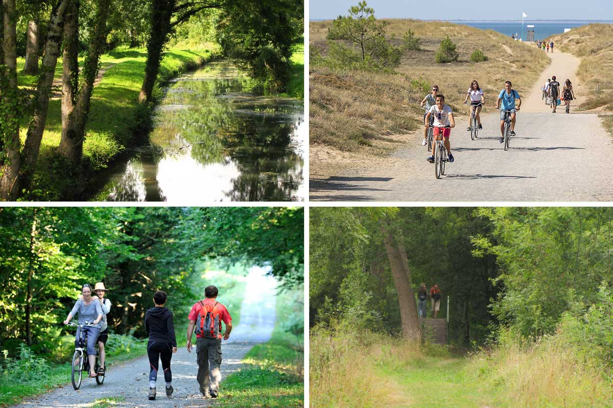 Les sentiers de randonnée du Marais poitevin