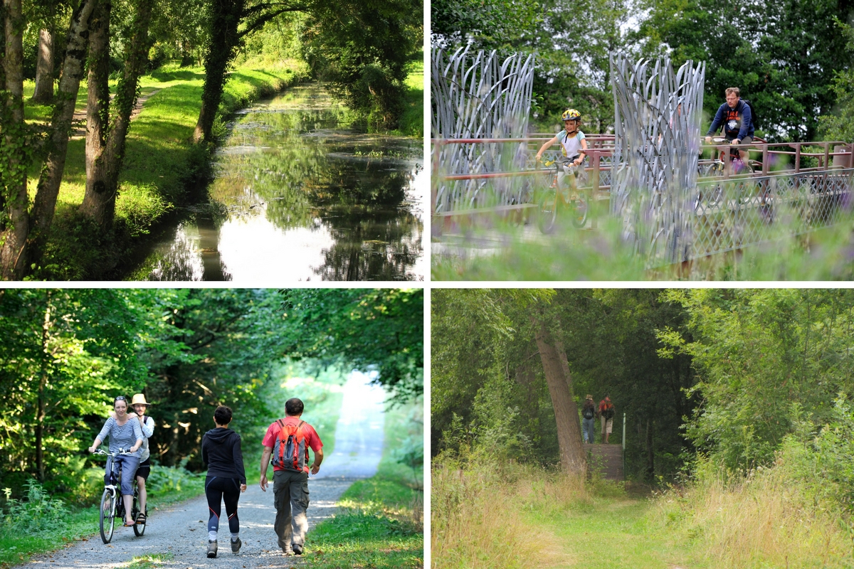 Les sentiers de randonnée du Marais poitevin