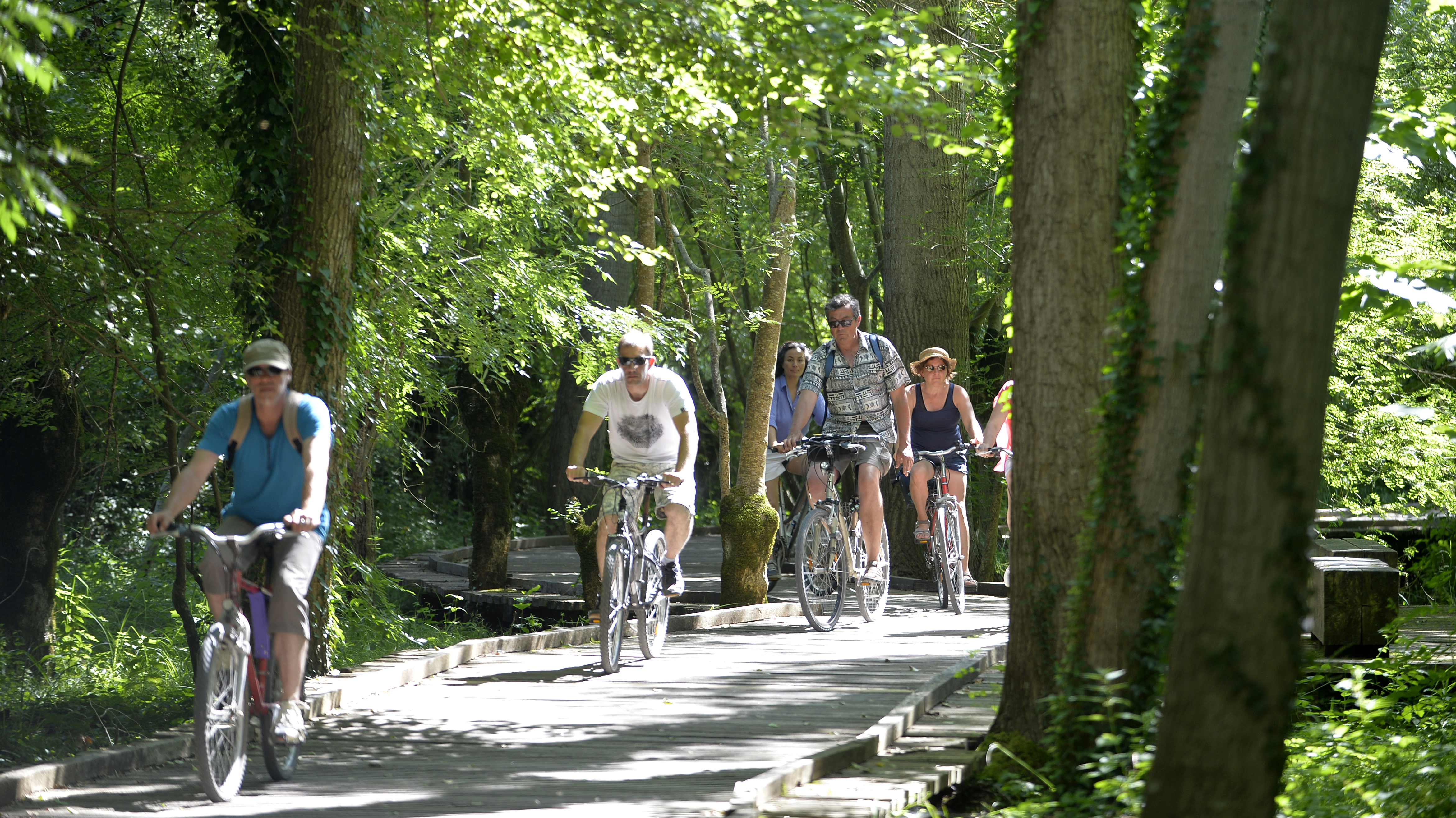 Touristes à vélo passant sur le platelage bois au cœur du Marais poitevin entre Coulon et La Garette. Touristes à vélo passant sur le platelage bois au cœur du Marais poitevin entre Coulon et La Garette.