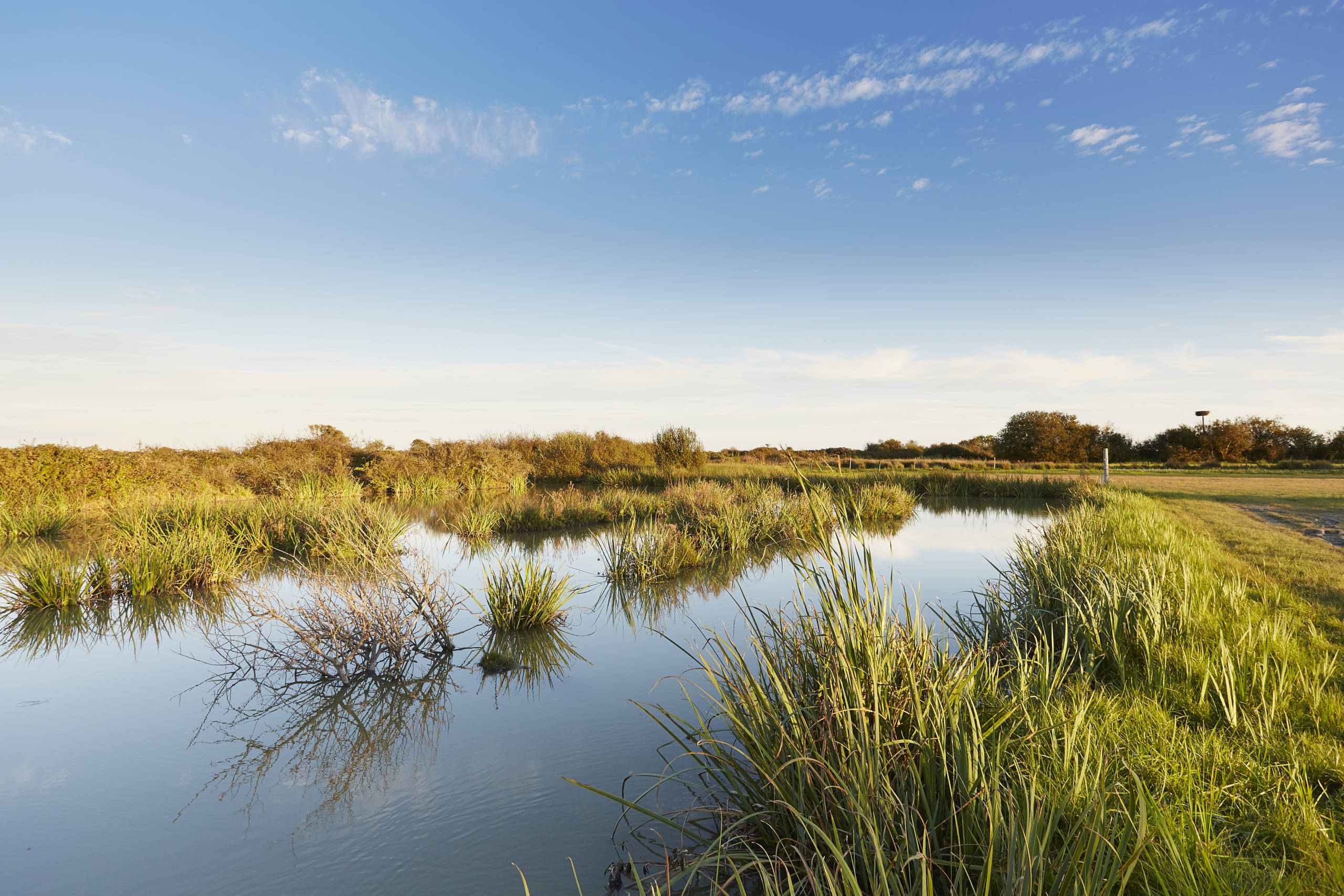 Paysage du marais desséché