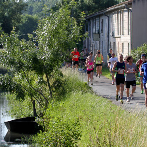 The Eco-friendly Marathon: Niou Maraisthon