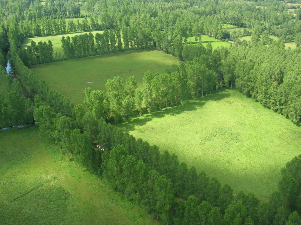 Vue aérienne du marais mouillé, l'un des paysages du Marais poitevin