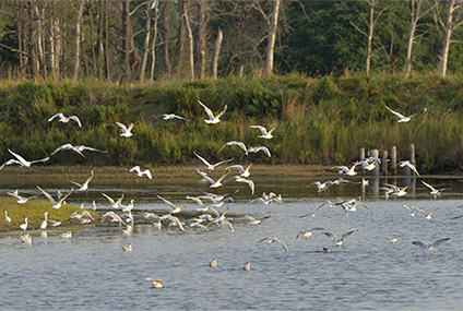 Sud Vendée<br>Tourisme