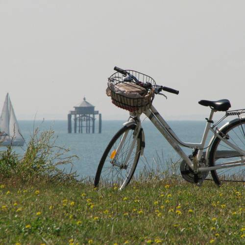 On sort les vélos ?