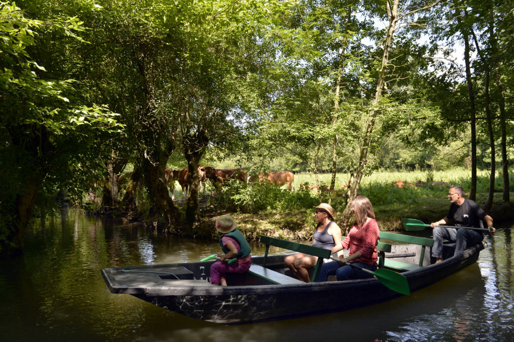 Promenade en barque au coeur du Marais poitevin