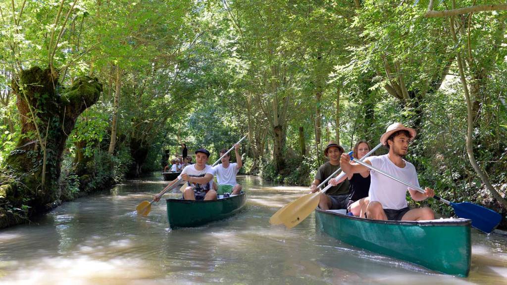 Rent a canoe in the Poitevin Marsh