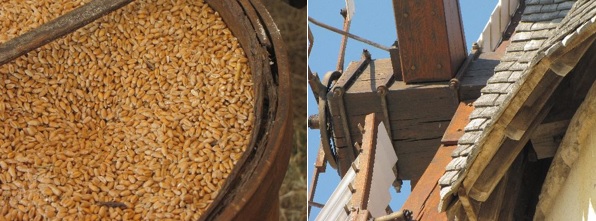 wheat grains and mechanism of the wings of the mill in Marans in the Marais poitevin regional nature park. wheat grains and mechanism of the wings of the mill in Marans in the Marais poitevin regional nature park.