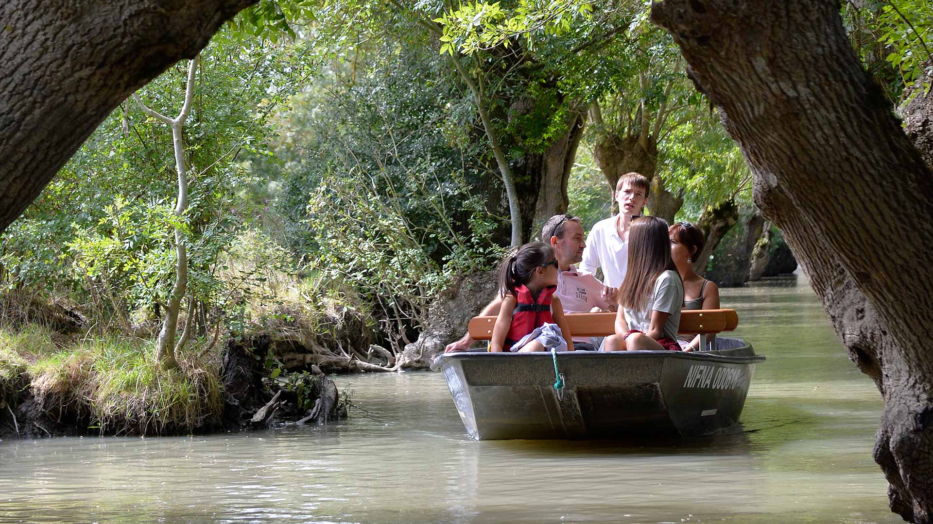 Balade dans le Marais poitevin - En barque dans la Venise Verte