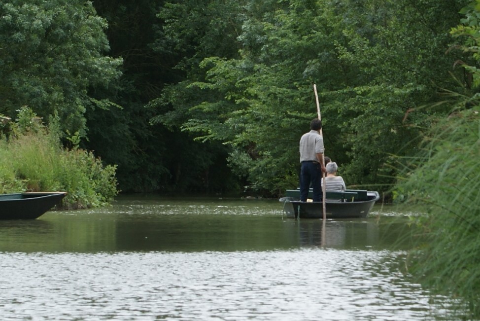 Promenade en barque guidée à l'Embarcadère du parc ornithologique les Oiseaux du Marais poitevin