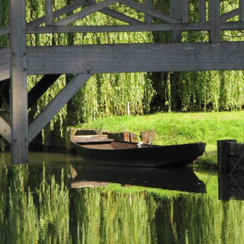 A day in a boat