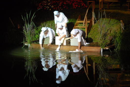 Féérie batelière : spectacle nocturne, son et lumière sur l'eau à Arçais dans le Marais poitevin