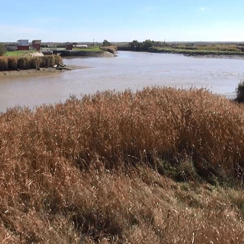 Vue du Marais poitevin et de l'écluse du Brault à Charron