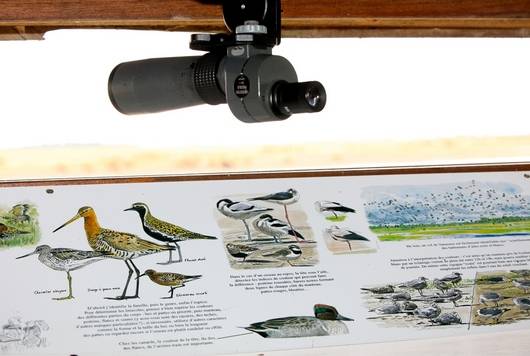 L'observatoire de la Réserve naturelle nationale Michel Brosselin de Saint-Denis-du-Payré dans le marais poitevin. Observatoires abrités accessibles toute l'année, mise à disposition de longues-vues.